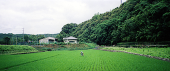 自宅前の風景