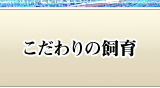 こだわりの飼育