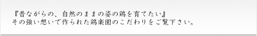 『昔ながらの、自然のままの姿で鶏を育てたい』その強い想いで作られた鶏楽園のこだわりをご覧下さい。